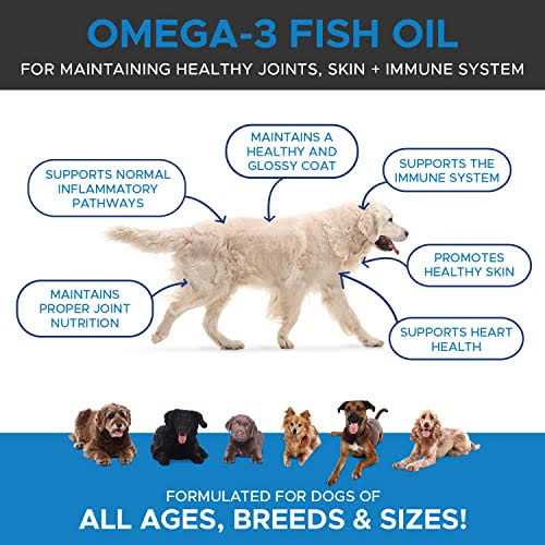 Omega-3 Fish Oil Dog & Cat Supplement B386695
