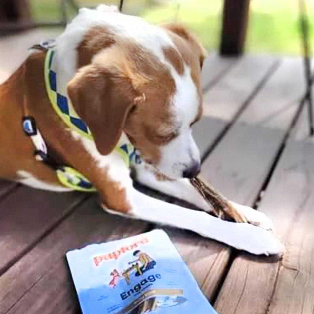 Bully Stick Dog Chew X4170