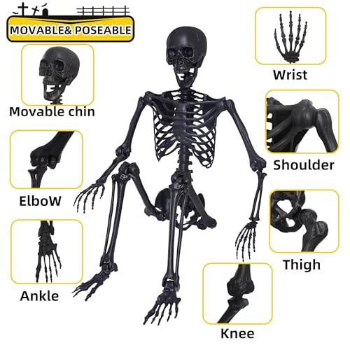 5.4Ft Posable Skeleton with Movable Joints and 2PC Black Feathered Crows M596