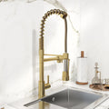 Pull Out Sprayer Kitchen Faucet Solid Brass H5468
