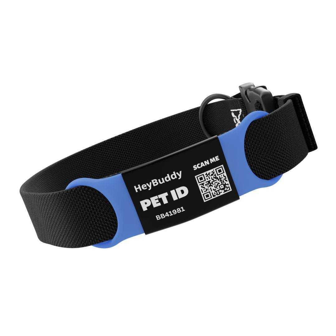 Noiseless QR Code Pet Tag J822