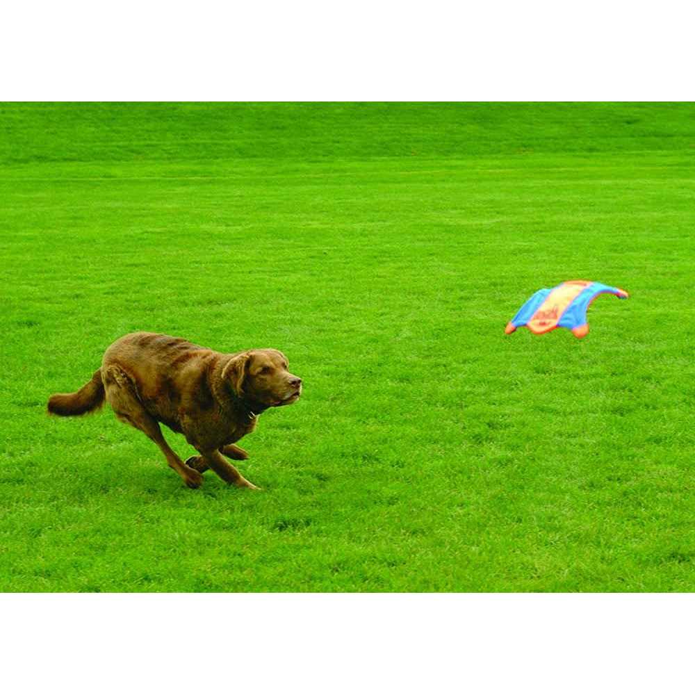 Flying Squirrel Toy G549