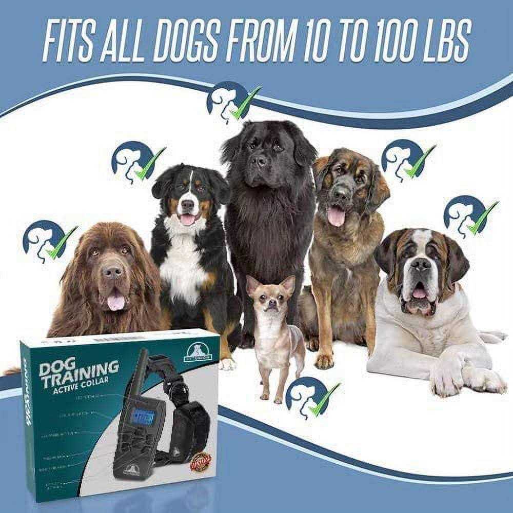 Dog Training Shock Collar with Remote P717