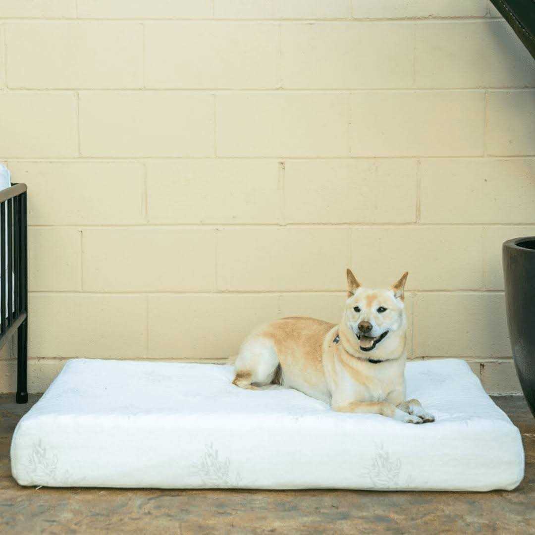 Bamboo Memory Foam Pet Bed G98979