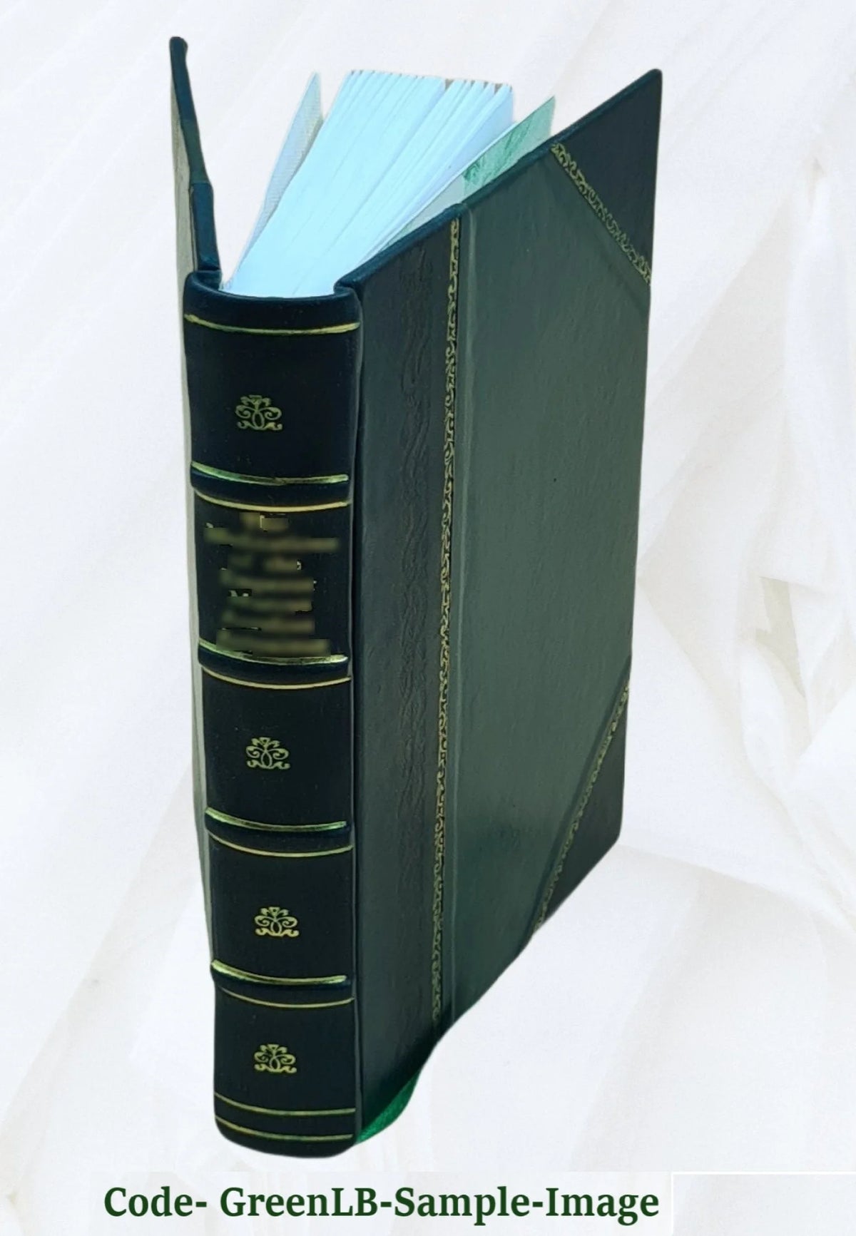 City charter, chapter 283, acts of 1897, ordinances of 1898, standing regulations, statutes relating to the city. Volume 1917 1898 V21105