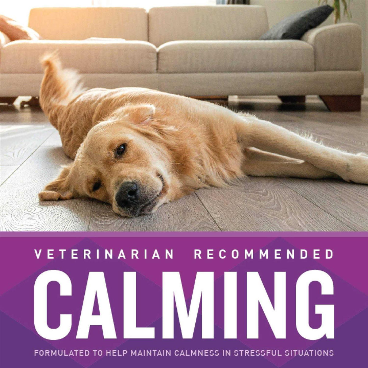 Calming Soft Chews B806595