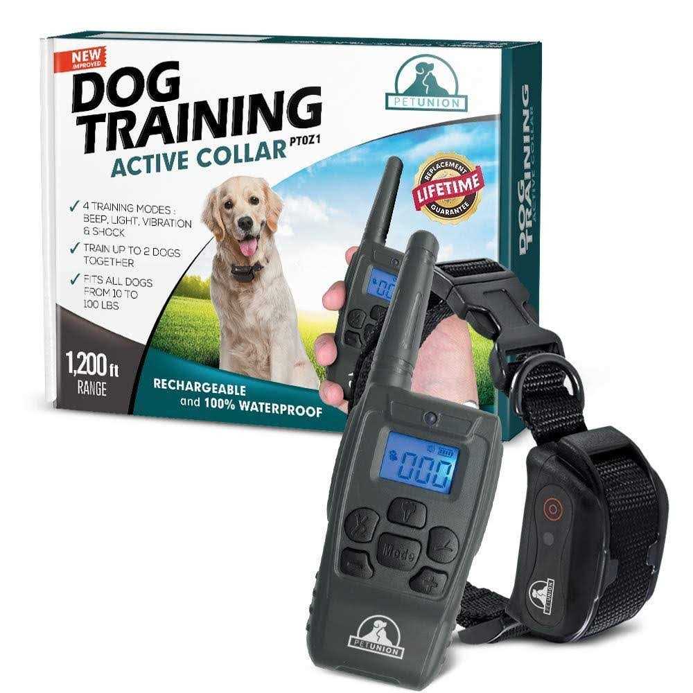 Dog Training Shock Collar with Remote P717