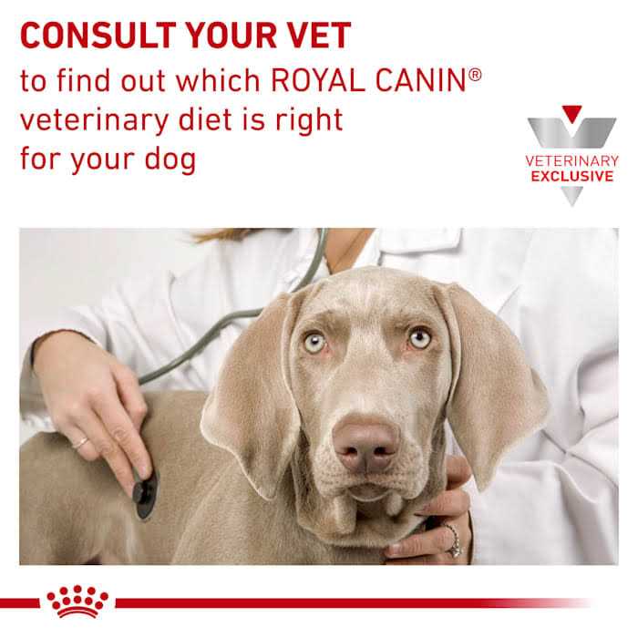 Veterinary Diet Canine Gastrointestinal Low Fat Dry Dog Food I3967