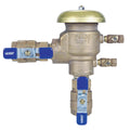 Pressure Vacuum Breaker P8981