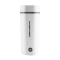 Portable Electric Kettle 350ML Stainless Steel W143