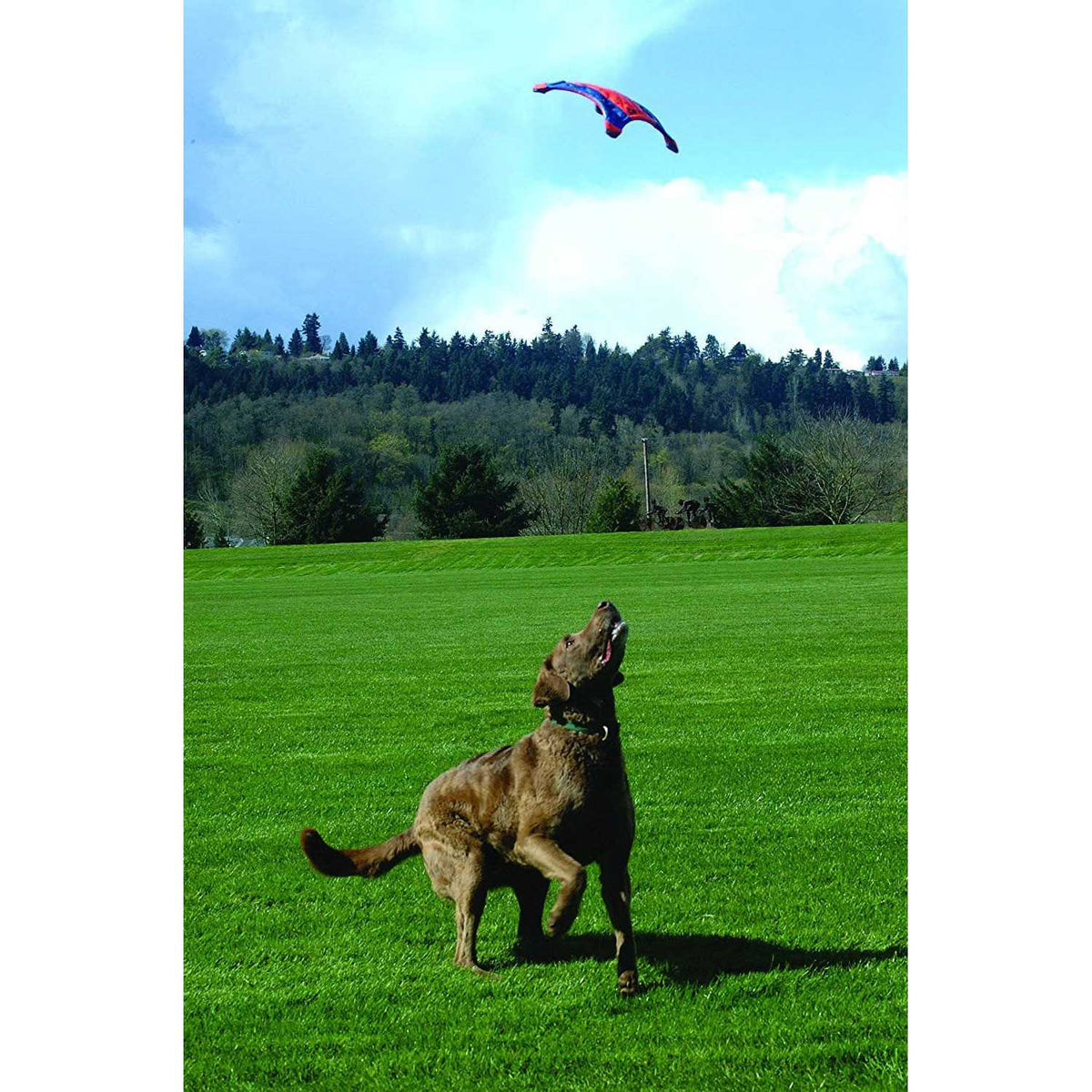 Flying Squirrel Toy G549