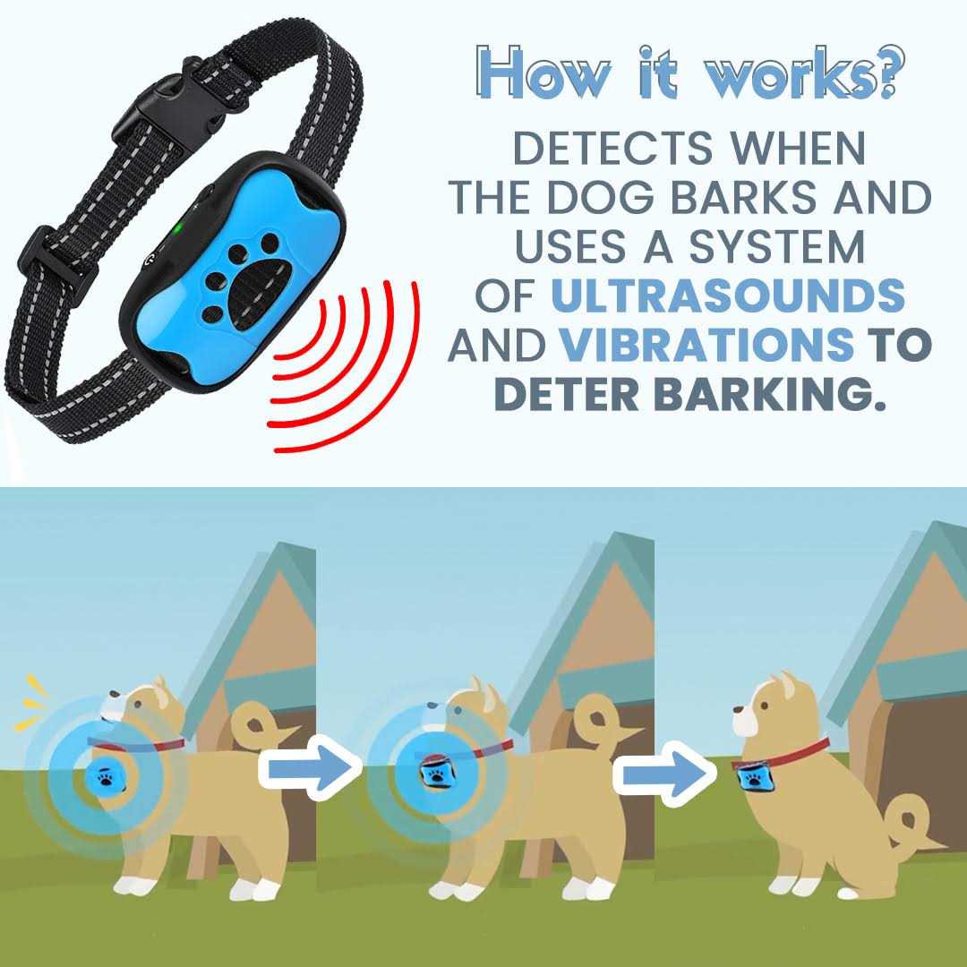 Anti-Bark Collar for Dogs U279602