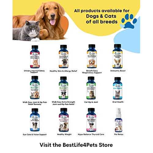 All-Natural Healthy Skin and Allergy Relief For Cats X425