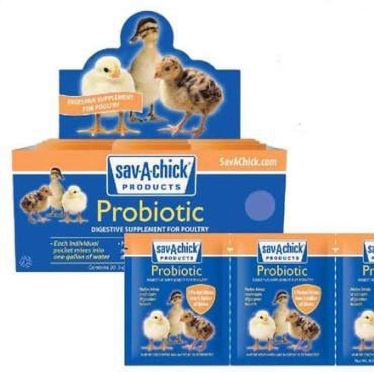 Probiotic Supplement P984442