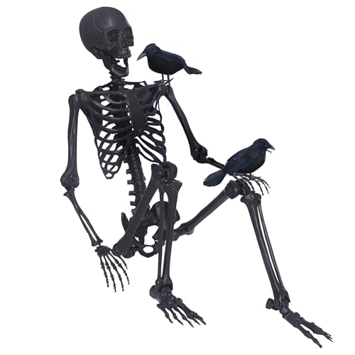 5.4Ft Posable Skeleton with Movable Joints and 2PC Black Feathered Crows M596