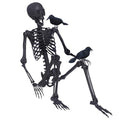 5.4Ft Posable Skeleton with Movable Joints and 2PC Black Feathered Crows M596