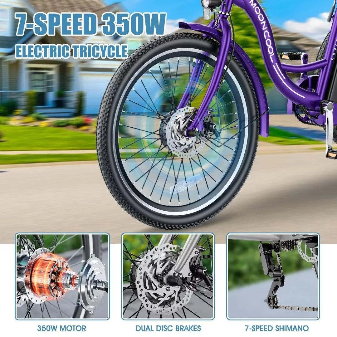 3 Wheel 500W Electric Trike G5531