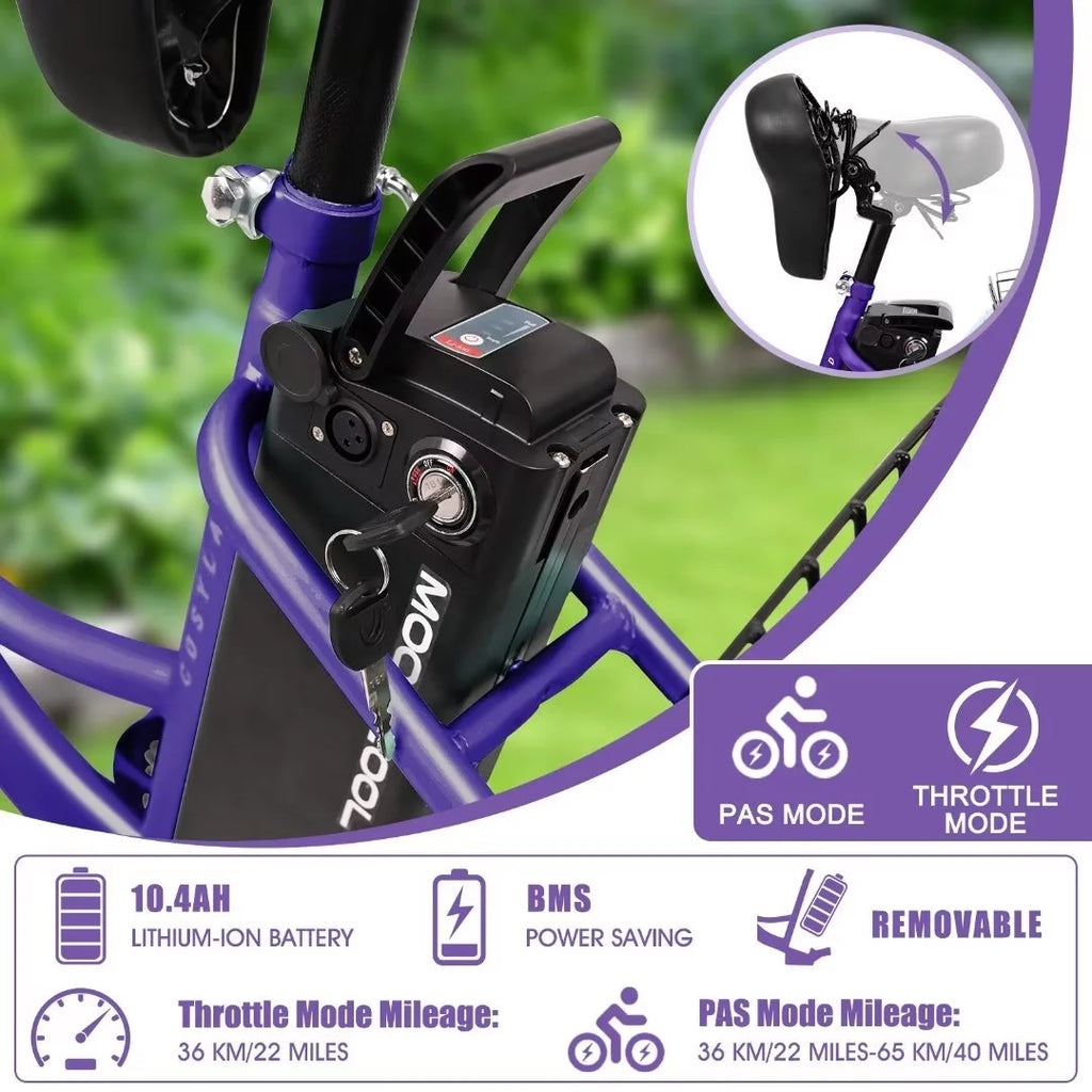 3 Wheel 500W Electric Trike G5531