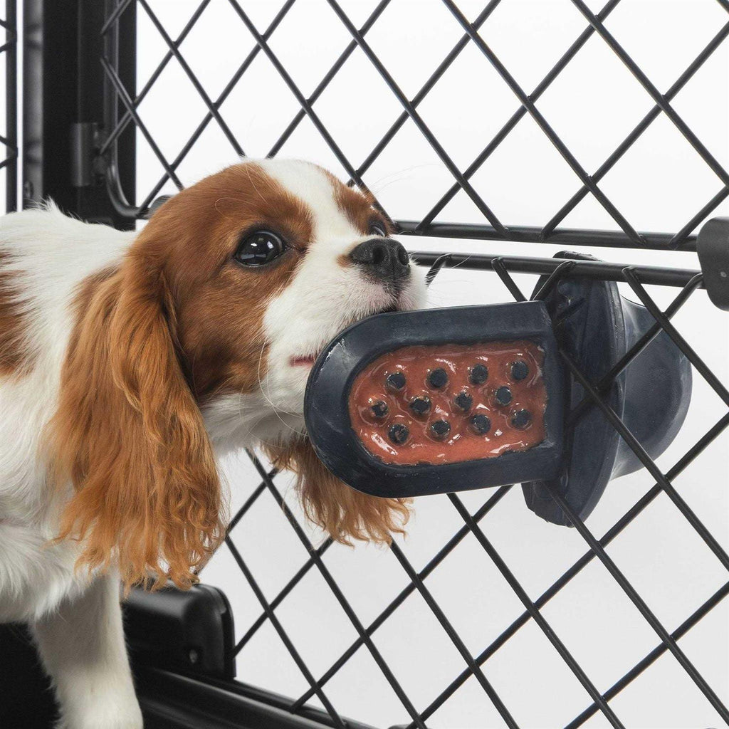 Dog Crate Training Aid R59760