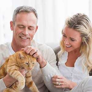 All-Natural Healthy Skin and Allergy Relief For Cats X425