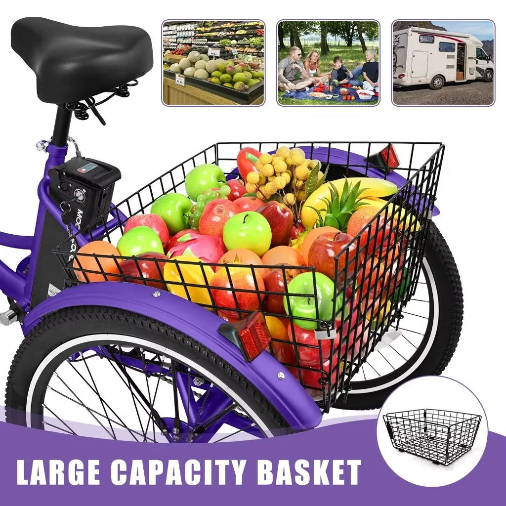3 Wheel 500W Electric Trike G5531