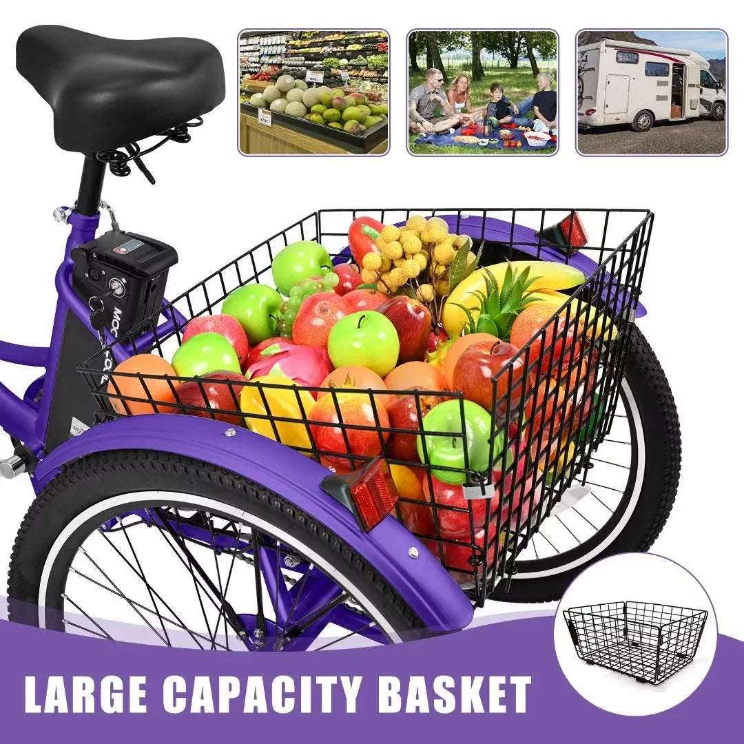 3 Wheel 500W Electric Trike G5531