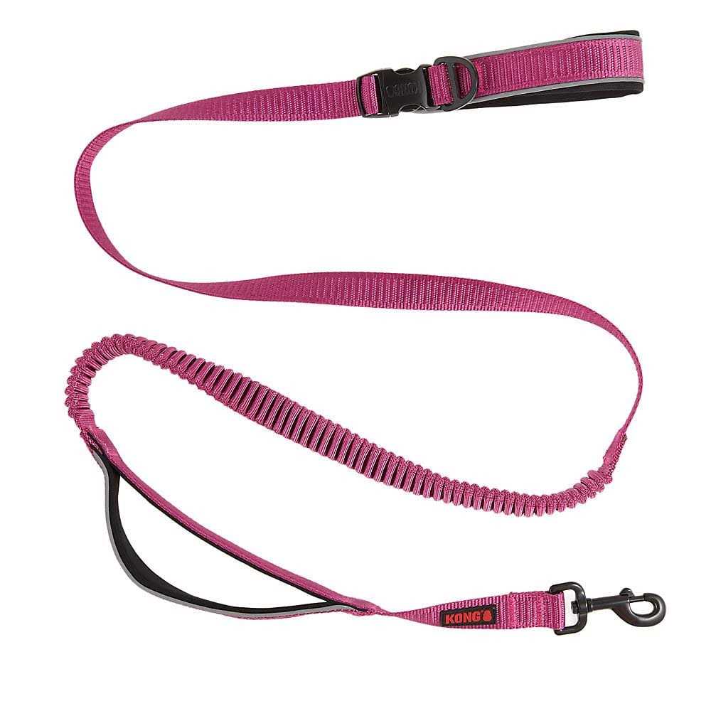 Green 6-ft Hands-Free Dog Leash C936199