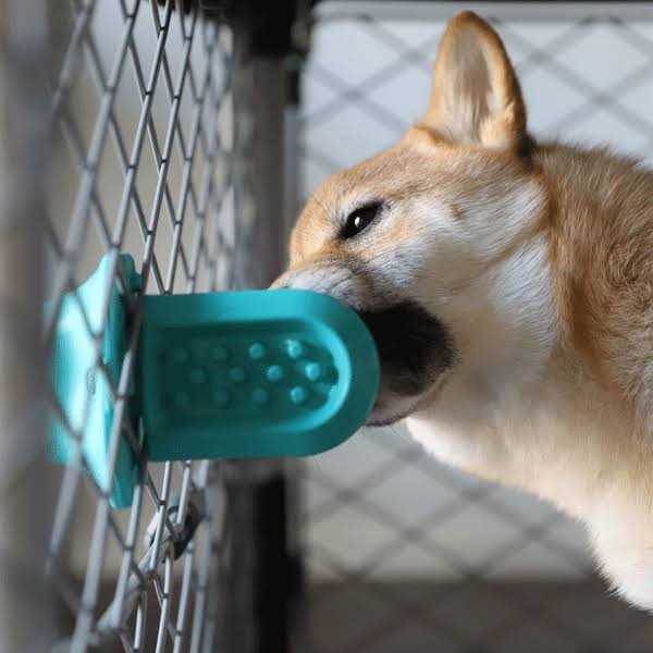 Dog Crate Training Aid R59760