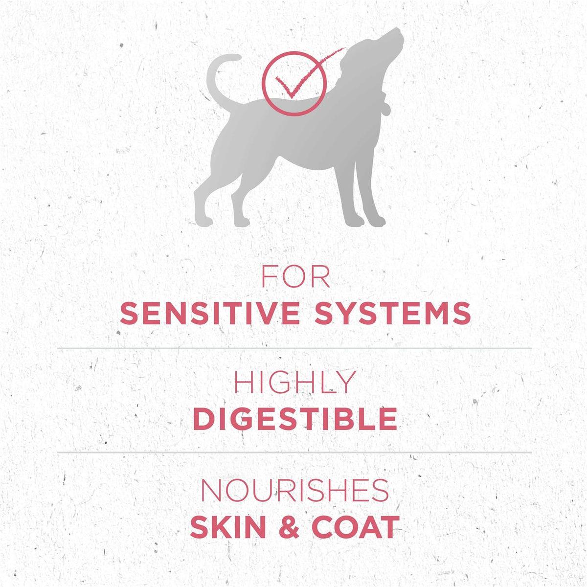 Skin & Coat Formula Dry Dog Food H96587