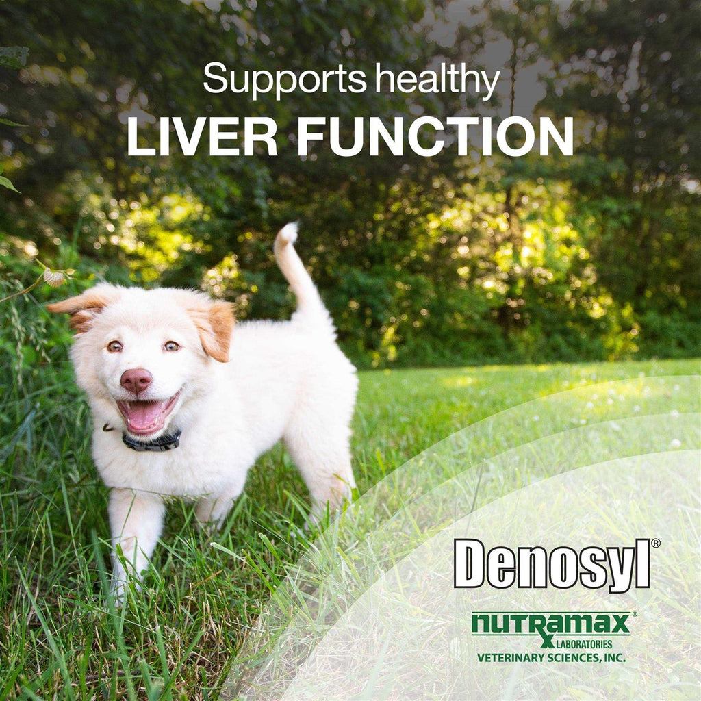 Denosyl Tablets Liver & Brain Supplement for Medium Dogs F90029