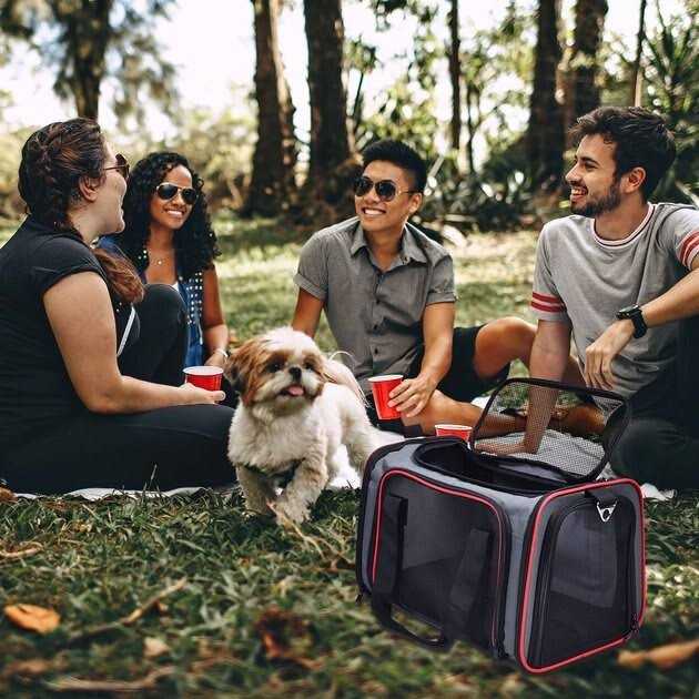 Soft-Sided Pet Carrier J3141