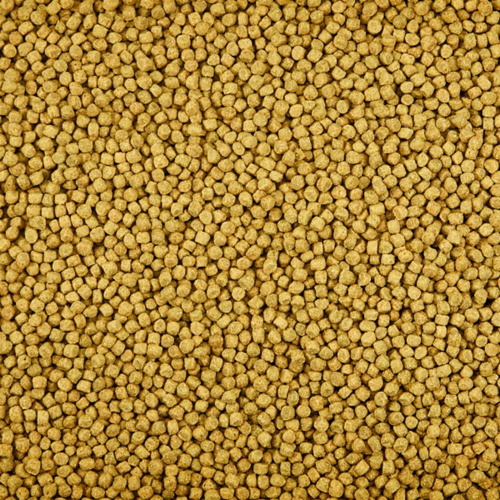 Premium Fish Food Y52755