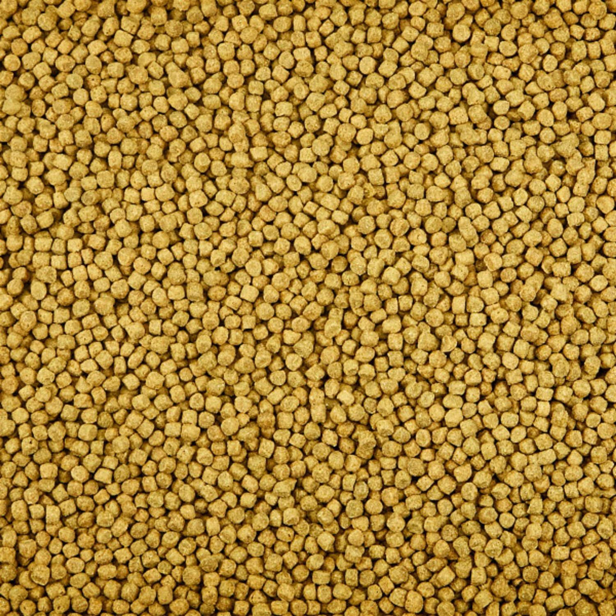 Premium Fish Food Y52755