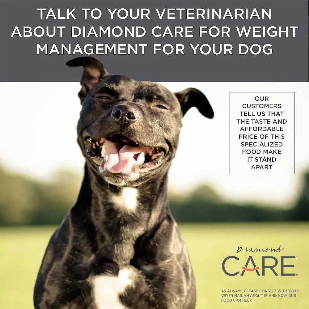 Adult Dry Dog Food C9419