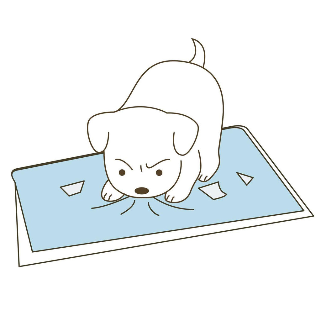 High Wall Potty Pad Tray L87990