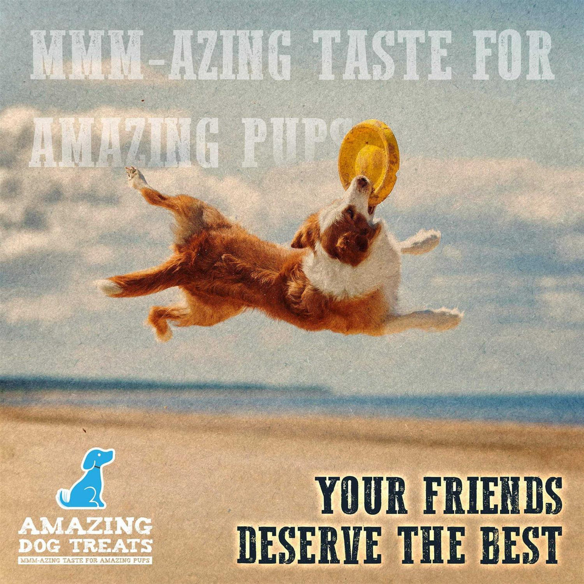 Chicken Feet Dog Treats L627413