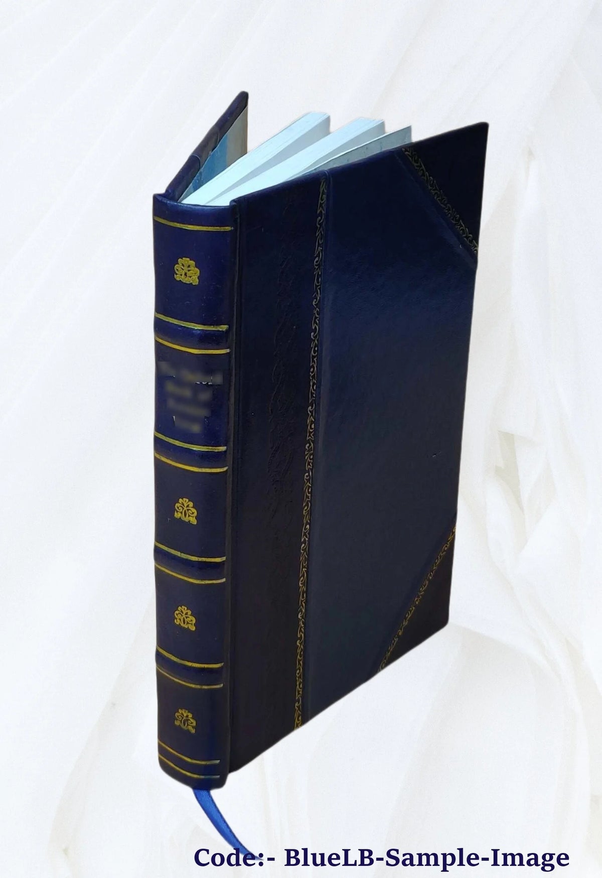 City charter, chapter 283, acts of 1897, ordinances of 1898, standing regulations, statutes relating to the city. Volume 1917 1898 V21105