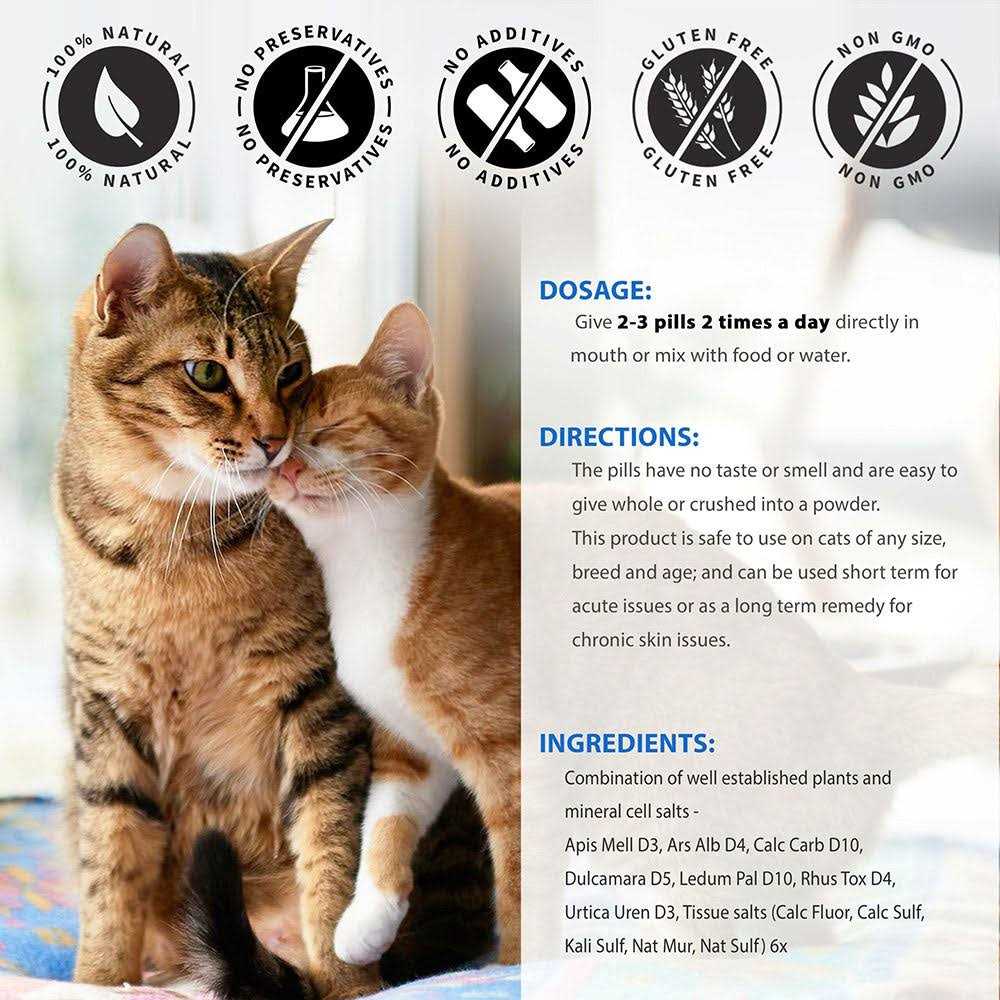 All-Natural Healthy Skin and Allergy Relief For Cats X425