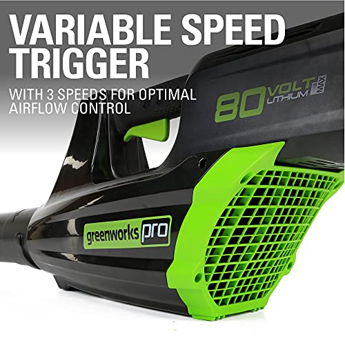 80V Cordless Brushless String Trimmer and Leaf Blower Combo with 2Ah Battery and Charger S677374