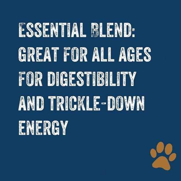 Premium Dog Food C20235