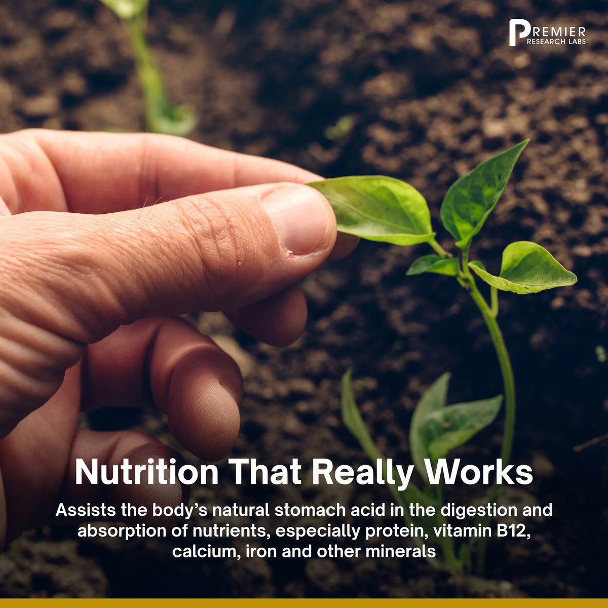90 Plant-Source Capsules Mineral Supplement C77209