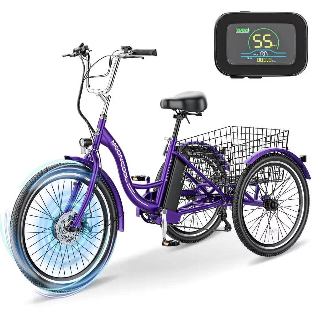 3 Wheel 500W Electric Trike G5531