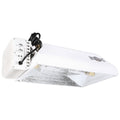 630 Watt LEC Boss Com 347 Volt w/ 4200 K Lamp R248375