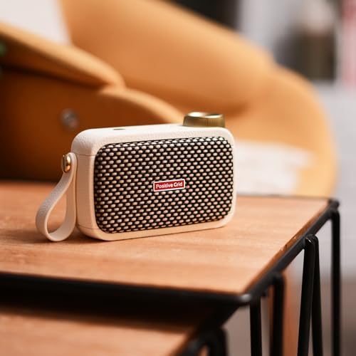 5W Ultra-Portable Smart Guitar Amp & Bluetooth Speaker R726
