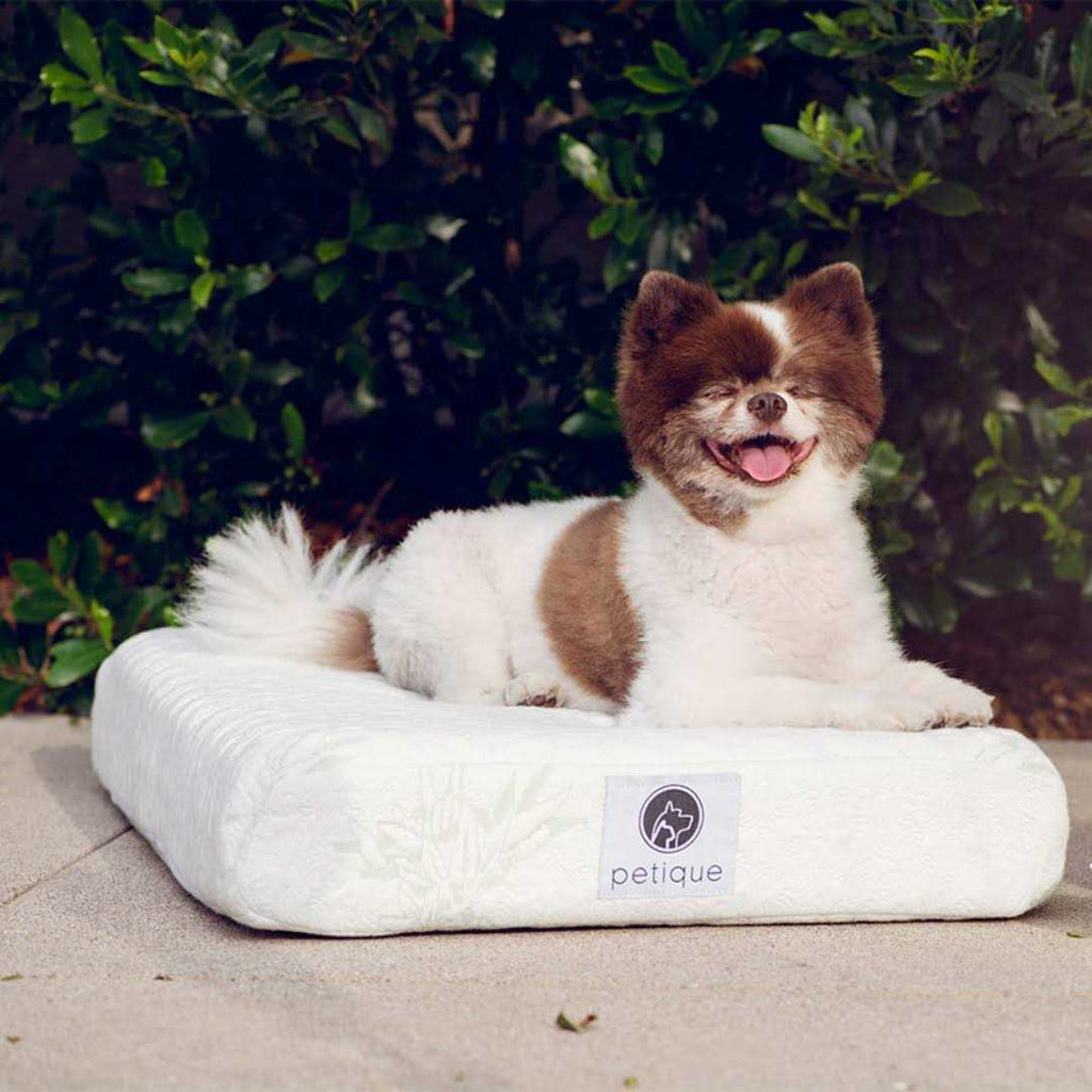 Bamboo Memory Foam Pet Bed G98979