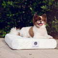 Bamboo Memory Foam Pet Bed G98979