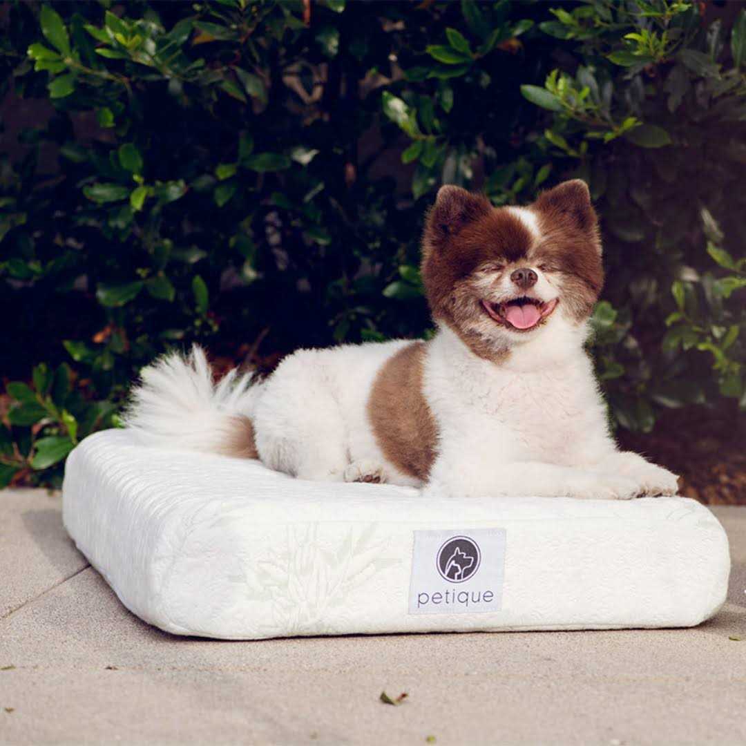 Bamboo Memory Foam Pet Bed G98979