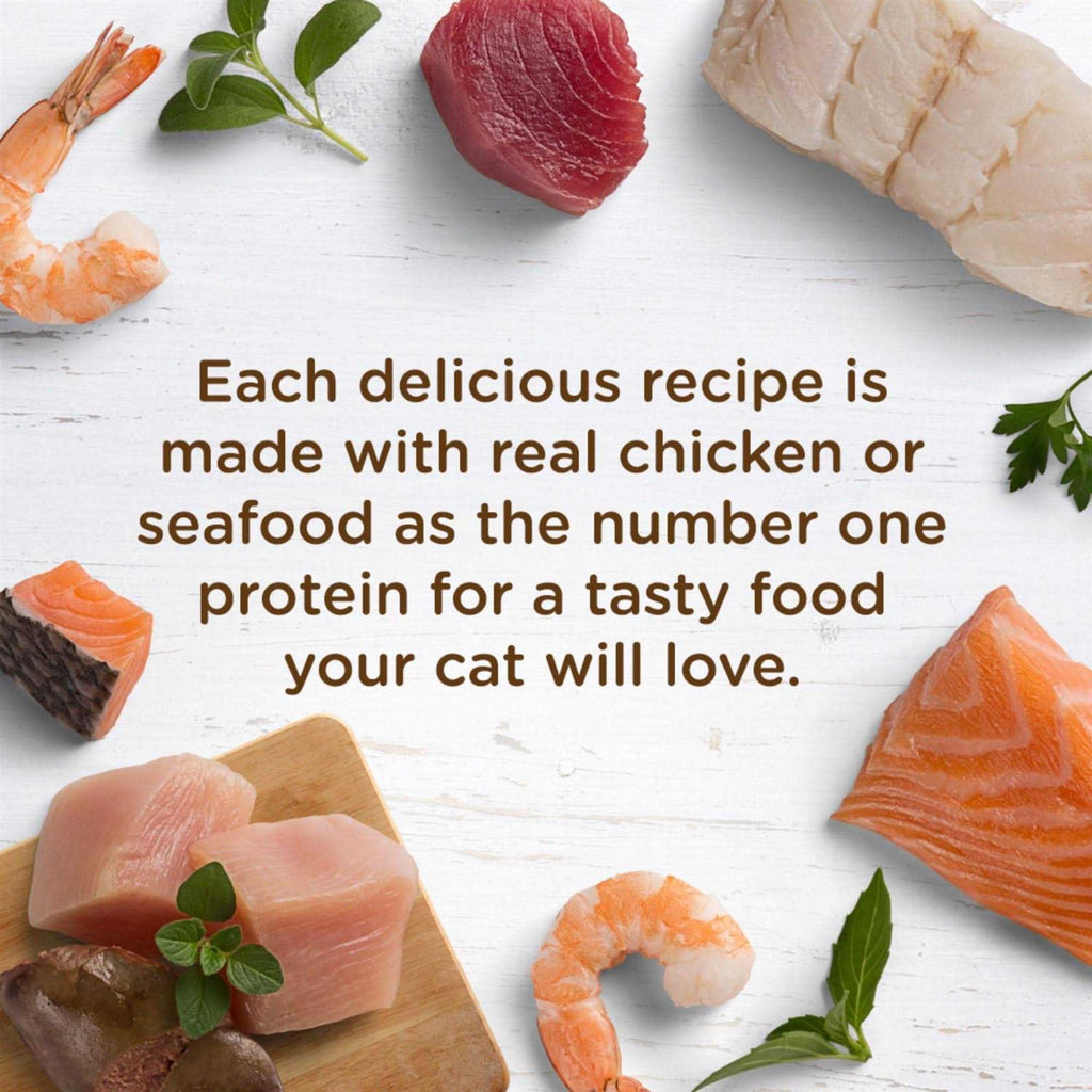 Chicken Grain-Free Wet Cat Food V4216