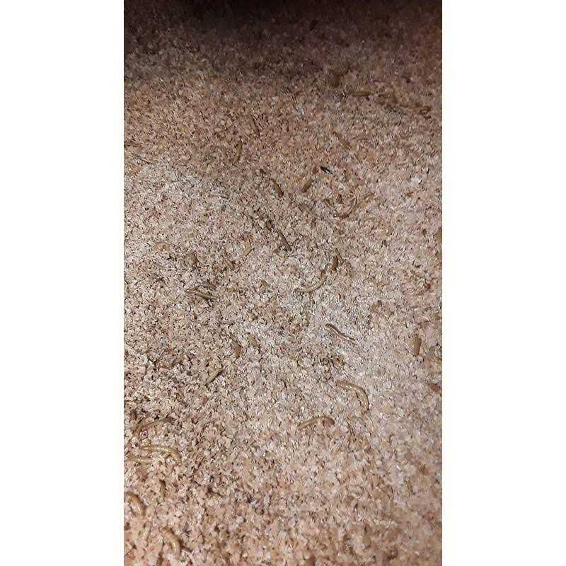 Mealworm and Superworm Bedding U657