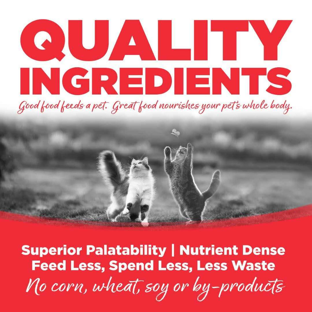 Grain Free Cat Food I480